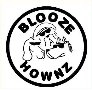 hownzlogo2sm.jpg